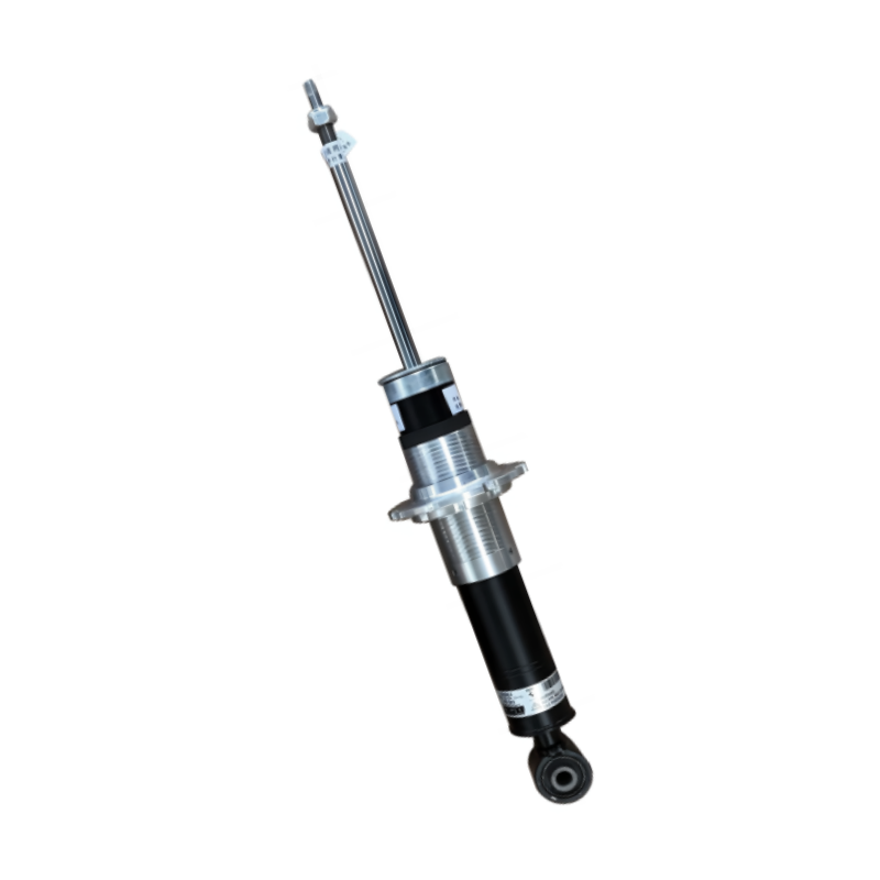 Rear Shock Absorber For Ferrari 458 255864