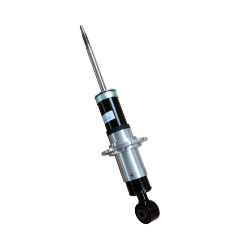 Rear Shock Absorber For Ferrari 599 257509
